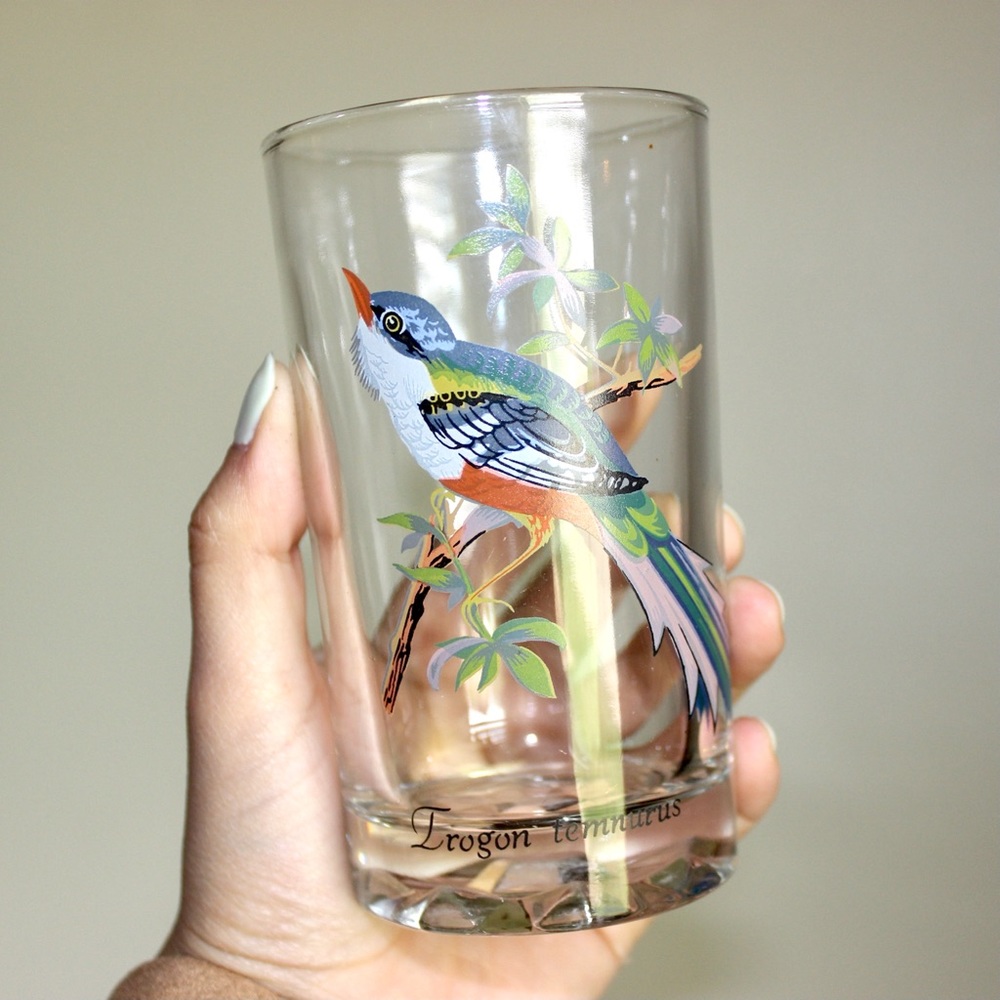 Vintage Exotic Bird Cuban Trogon Glass Tumbler Cup
